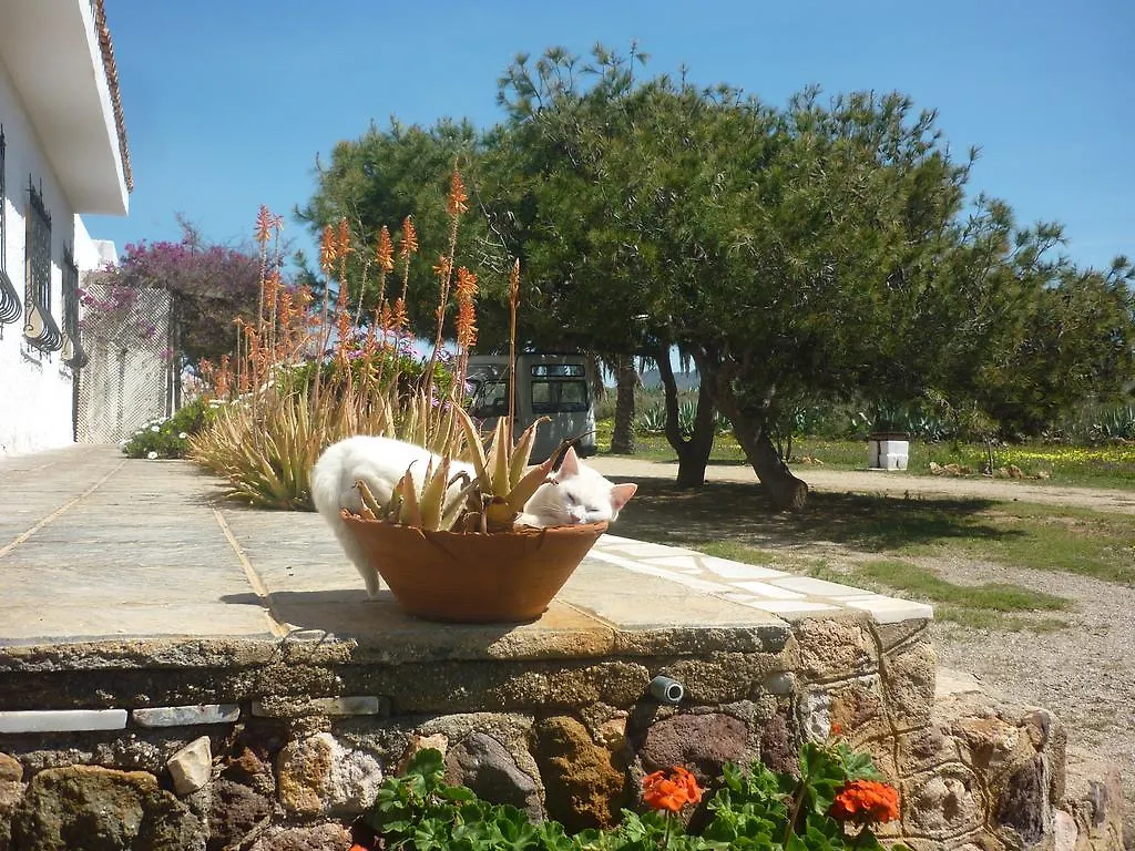 Летний дом Гостевой дом Cortijo La Molina De Cabo De Gata Испания